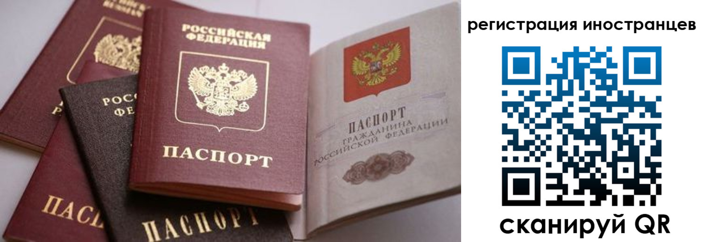прописка штамп в Хвалынске